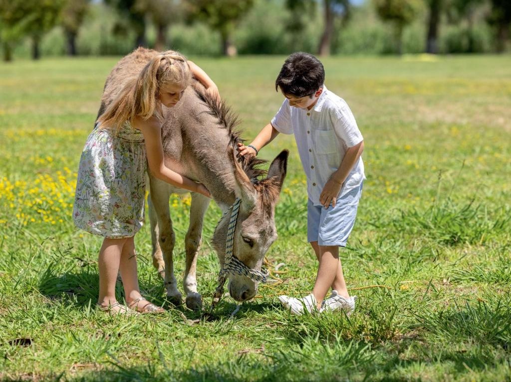 Grecotel LUXME Costa Botanica, о. Корфу, Греція мініатюра 33