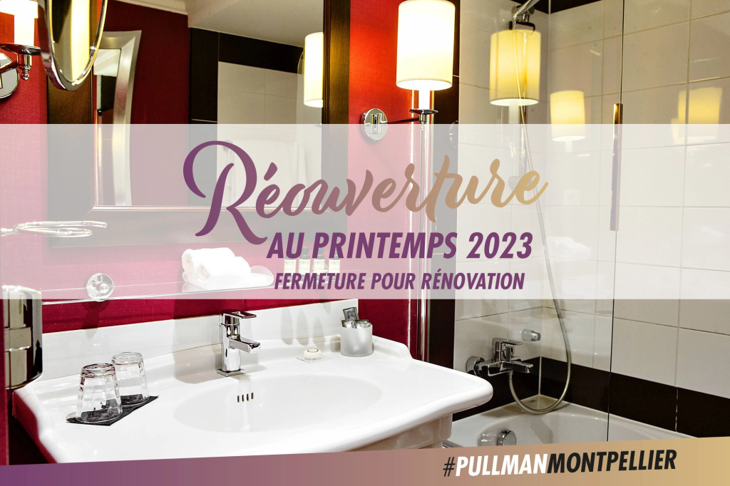 Afficher la photo 8 — Pullman La Pléiade Montpellier Centre