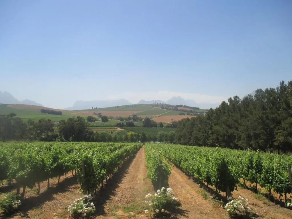 Clos Malverne - Chambres