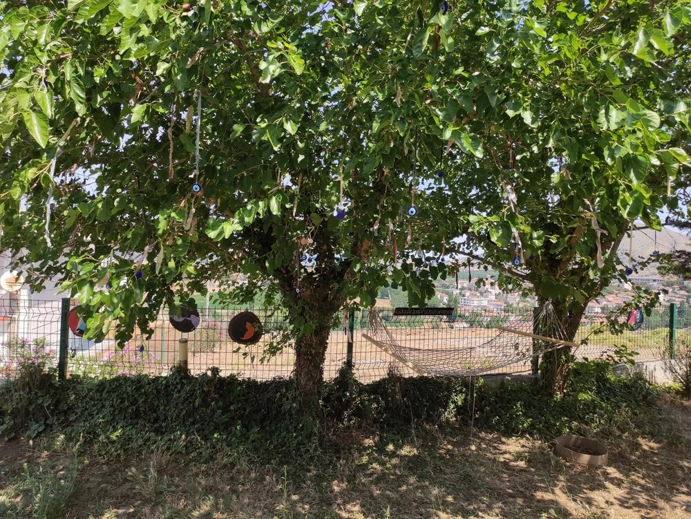 Image 14
