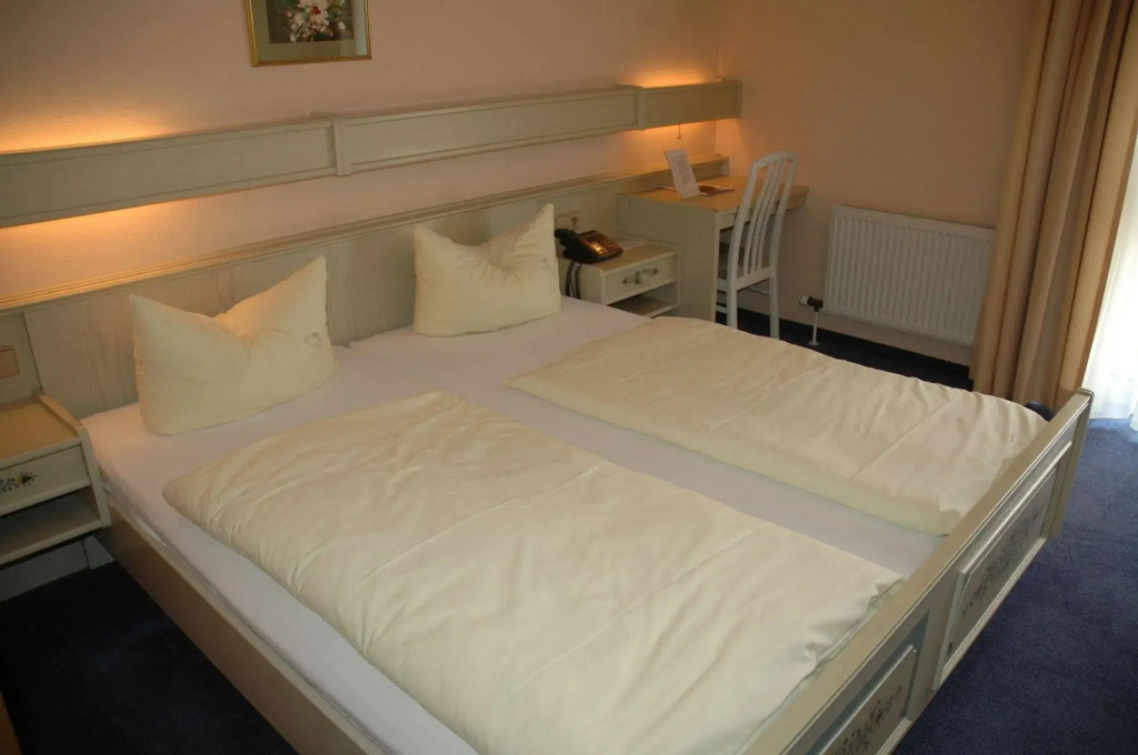 Hotel Zum Neuen Schwan - Général