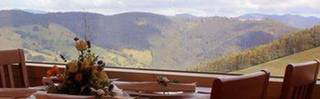 Gut Lilienfein - Général