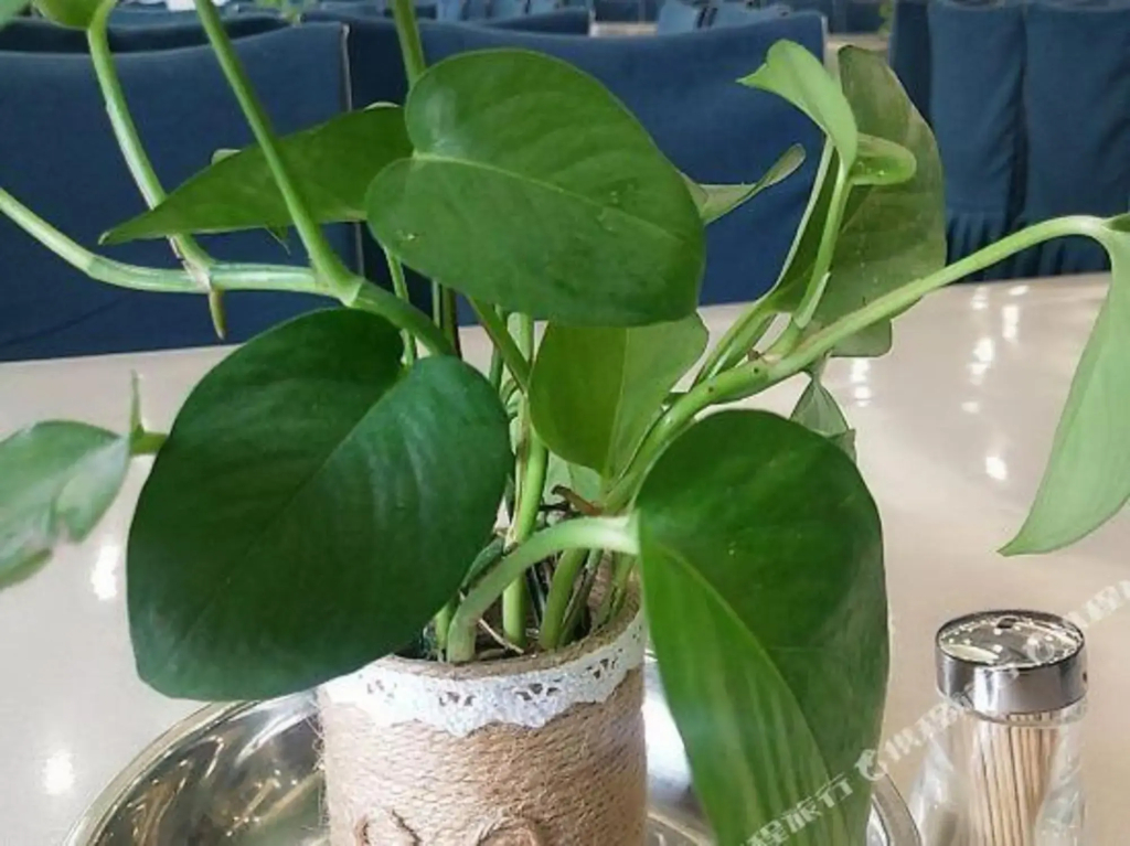 Wanxin Zhige Hotel (Zigong Huashang Civic Center) - фото 11