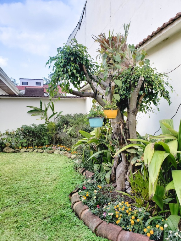 The Garden CR