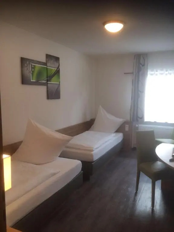 Standard Double room (twin beds)