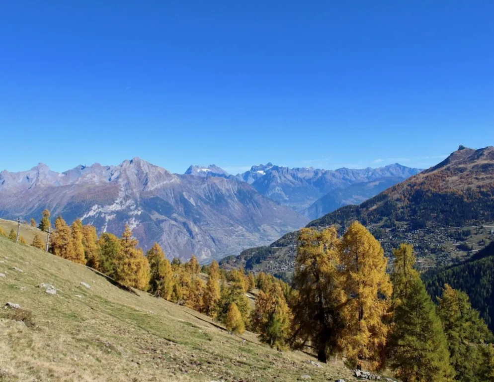 Apartment in Nendaz Near Ski Lift