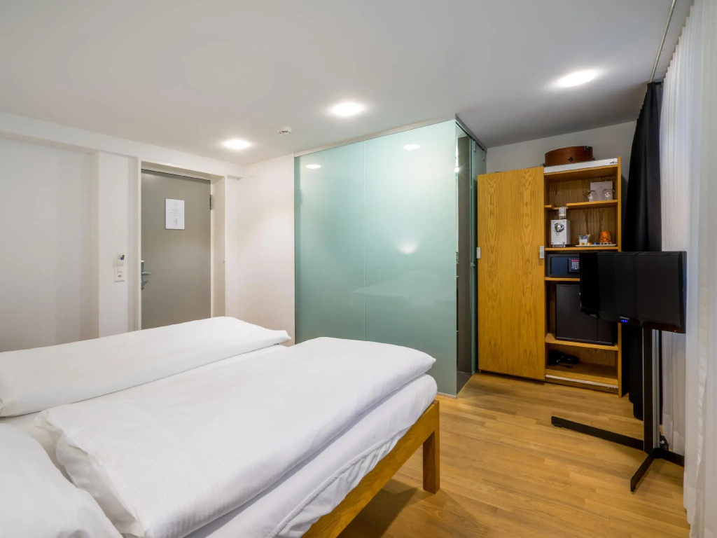 Standard Double room with city view (full double bed)