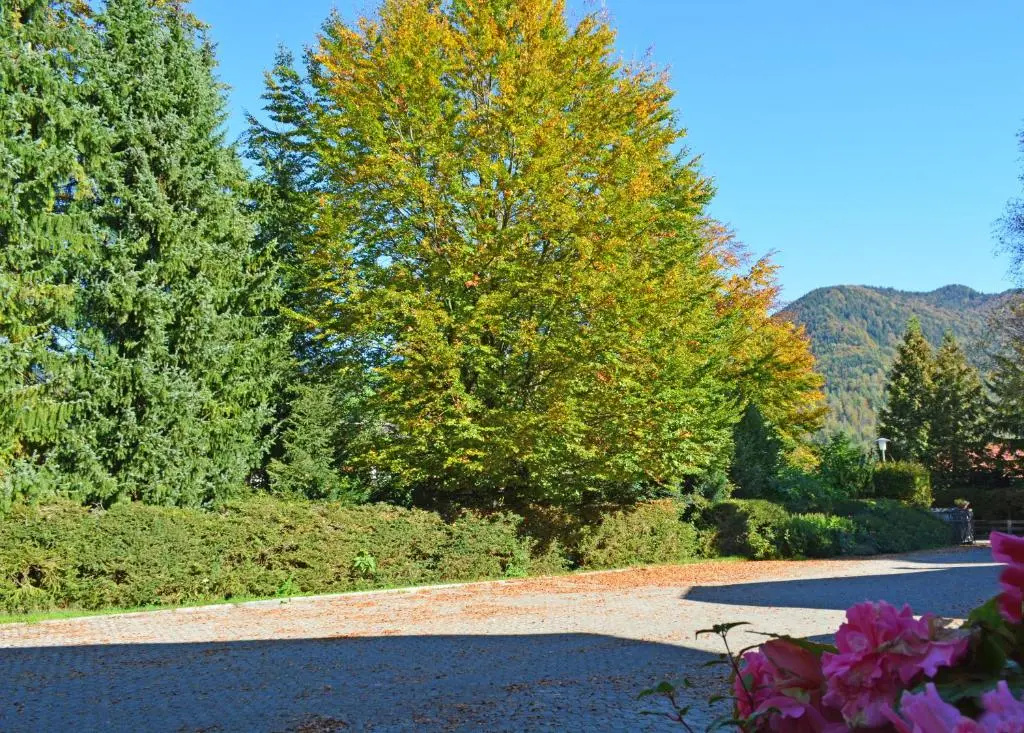 Hotel Garni Sonnenhof - Chambres