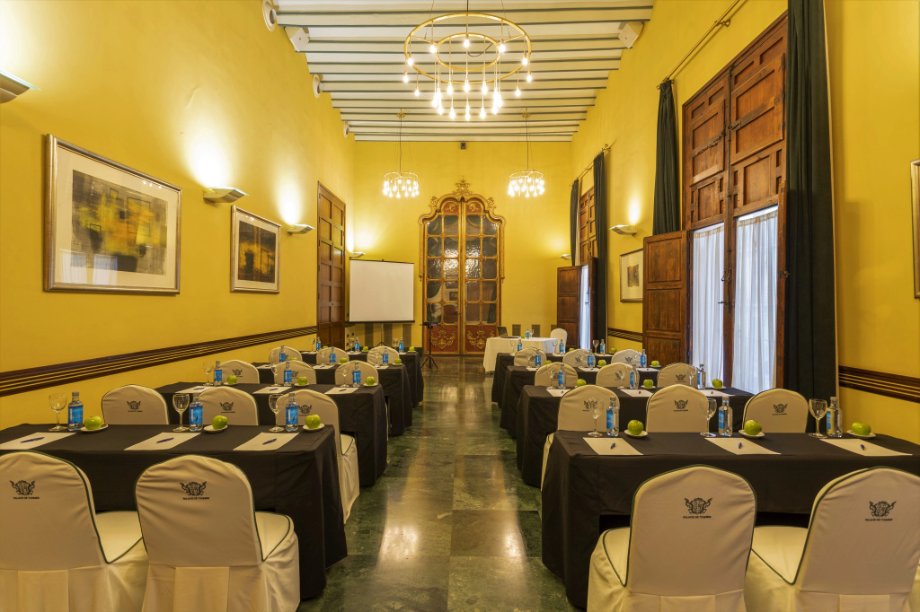 Sercotel Palacio de Tudemir - Général