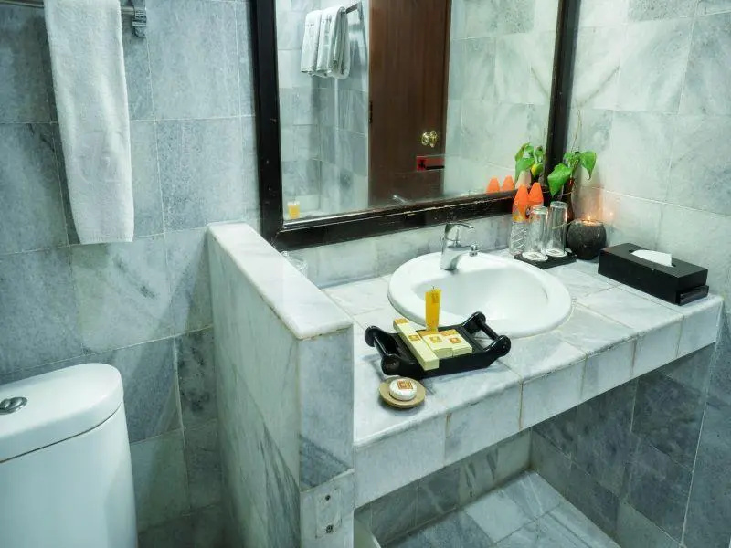 Deluxe Double room with balcony and with garden view (full double bed)