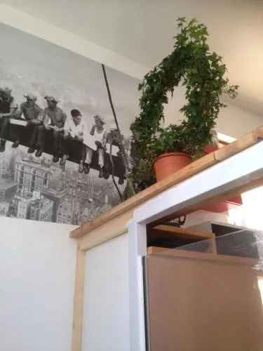Balcony & Terrace
