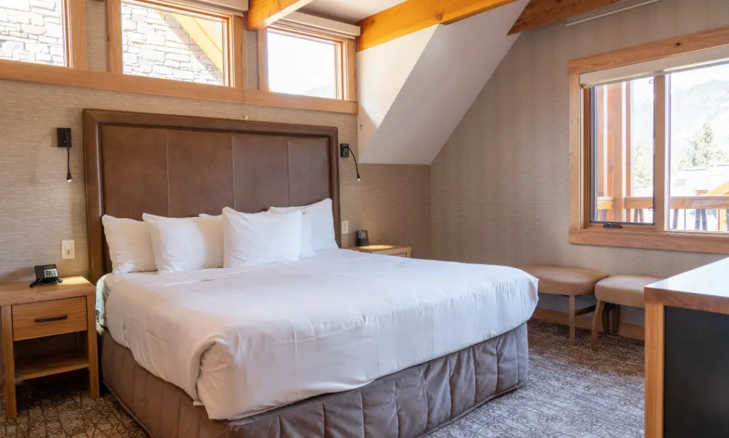 1 Bedroom Suite