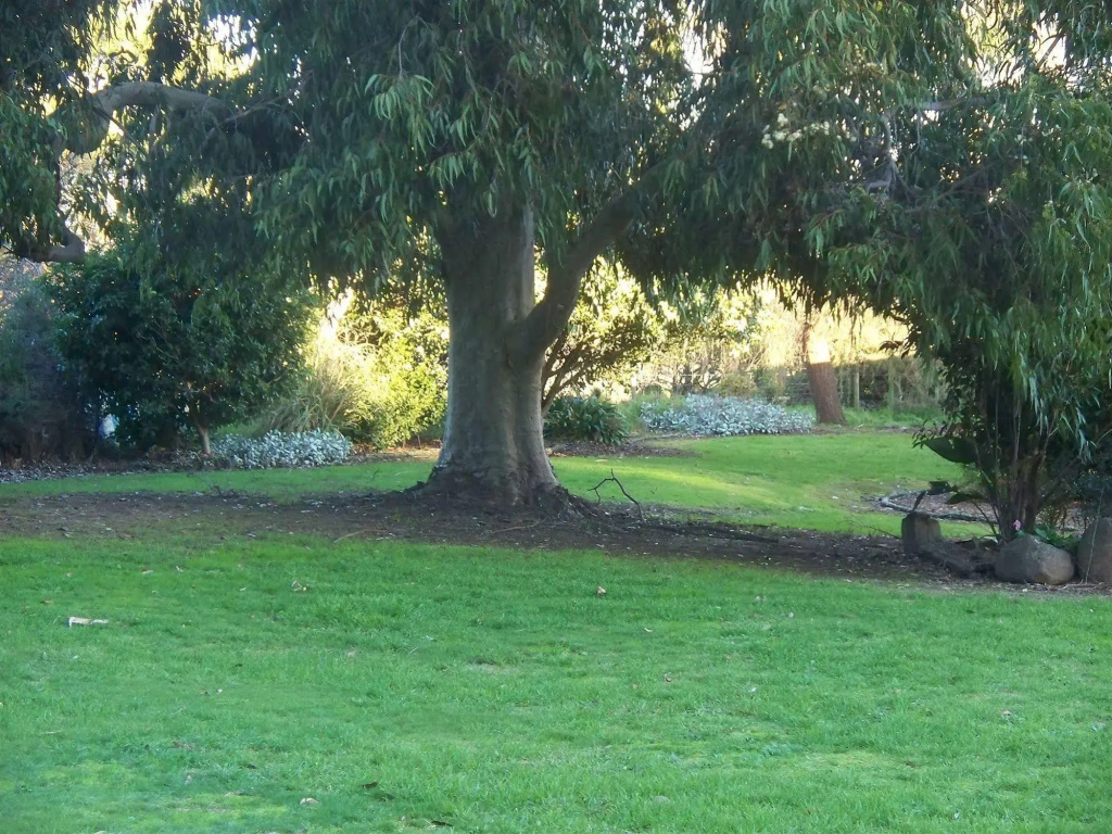 Toora Lodge Motel