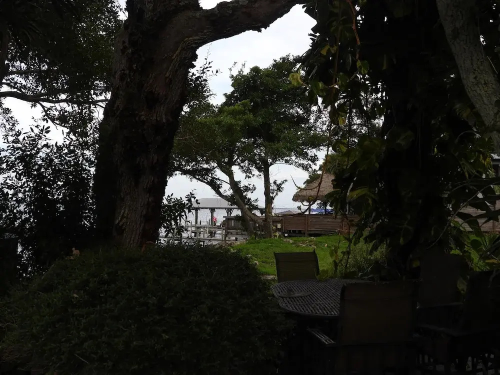 Hotel photo 34