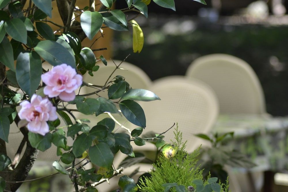 Hotel photo 25