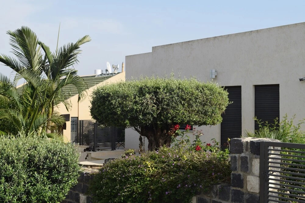 Tal Kinneret
