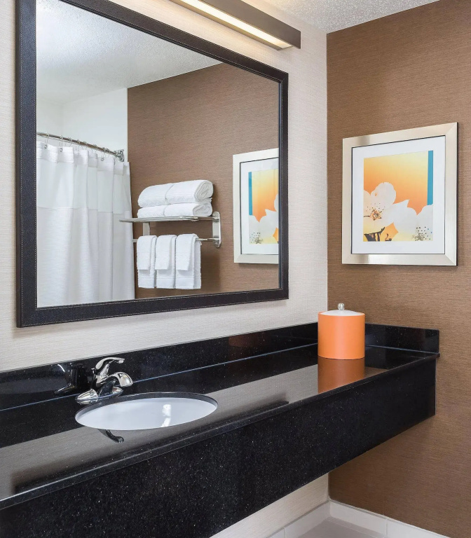 Fairfield Inn & Suites Dallas Park Central - Général