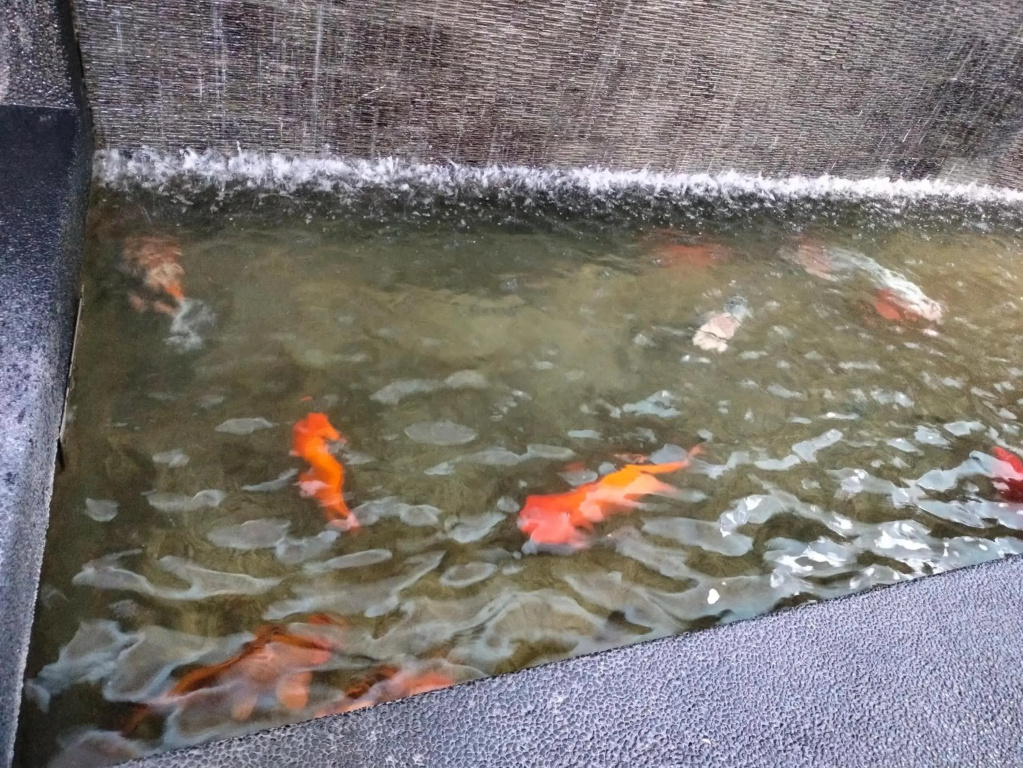 Cyberjaya Shaftesbury 2