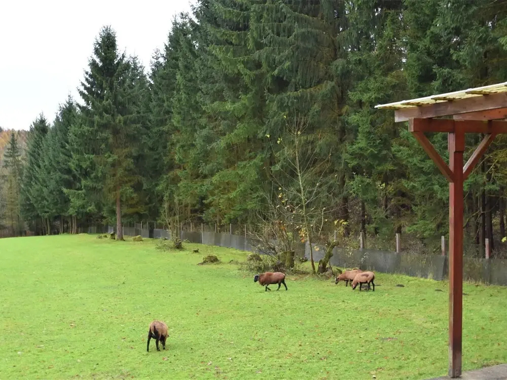 Modern Holiday Home in RÃ¼beland With a Garden