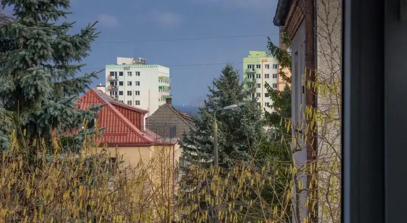 Top Sopot