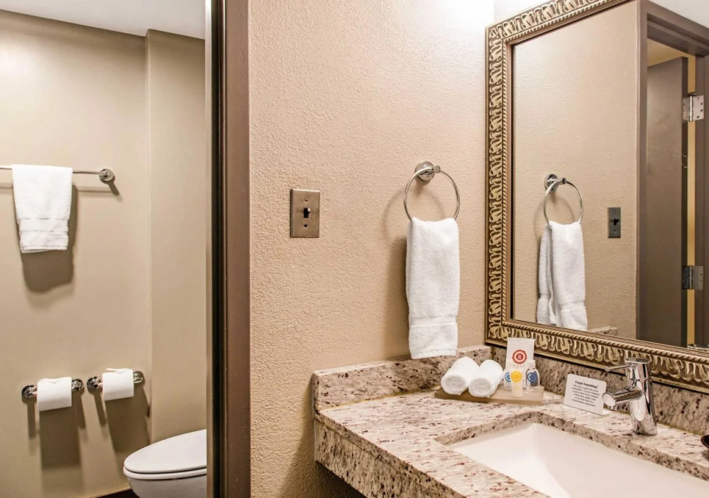 Comfort Inn Largo-Washington DC East - Général