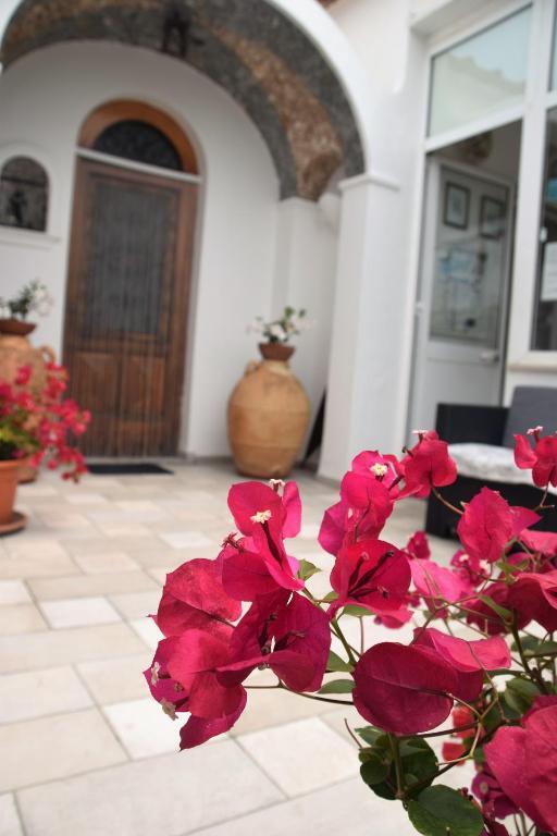 Villa Damecuta by null