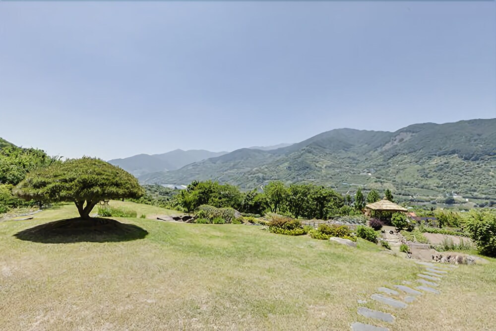 Image 11