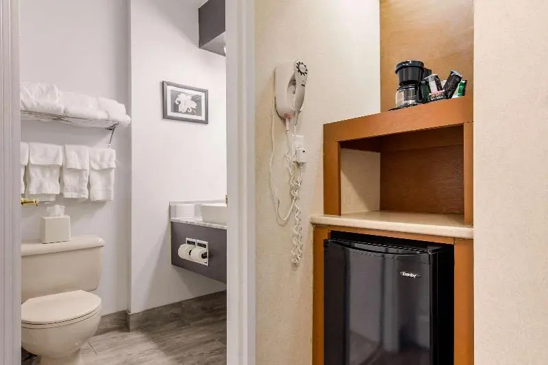 Quality Inn & Suites Gatineau - Chambres