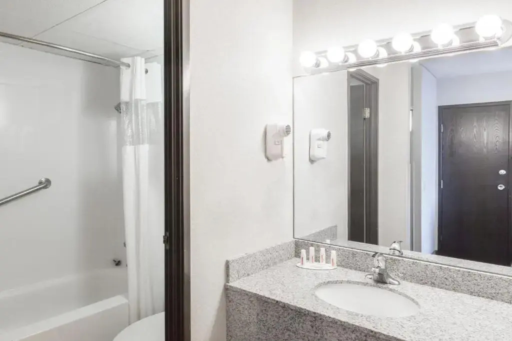 Ramada Plaza by Wyndham Albany - Chambres