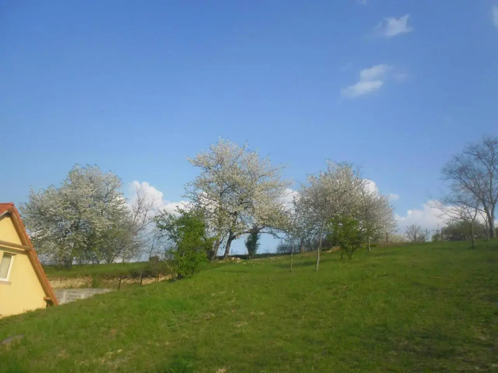 Rooms for Rent near Budapest
