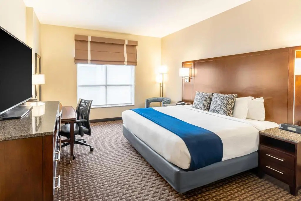 New Haven Hotel - Chambres