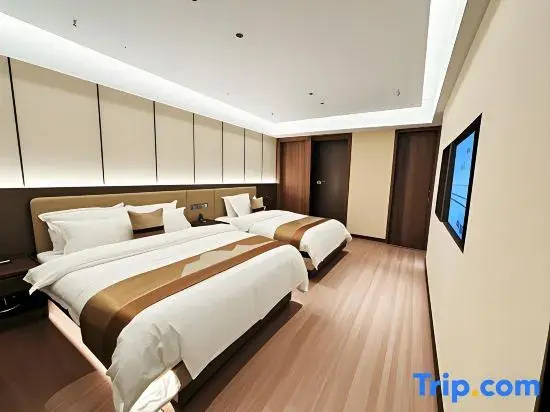 Comfort Suite