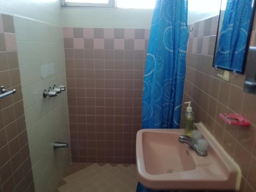 Hostel In The Wind by null