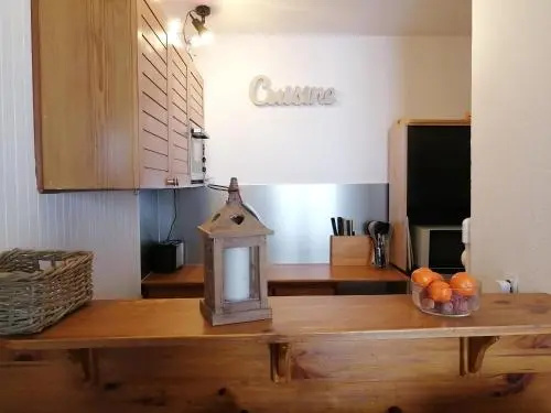Appt 43 M2 Station Auris En Oisans - Alpes D Huez