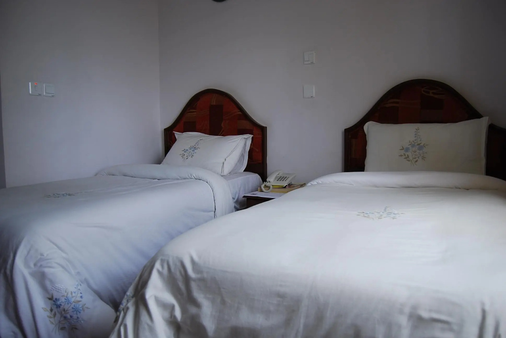 Standard Double room (twin beds)