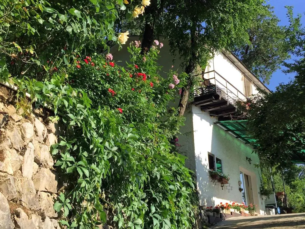 Su Da Noi