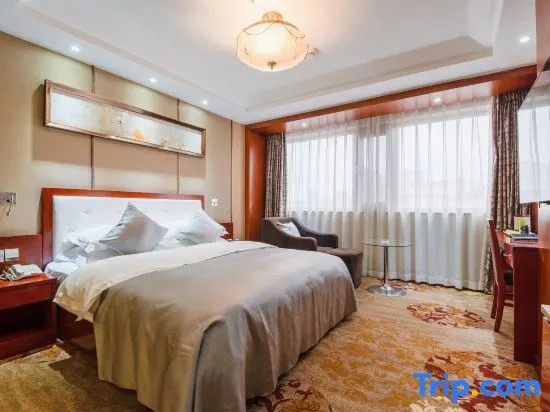 Executive Single room with garden view