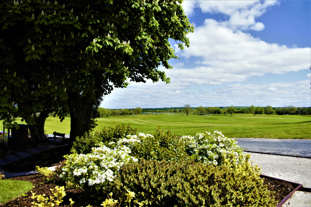 Glenlo Abbey Hotel - Général