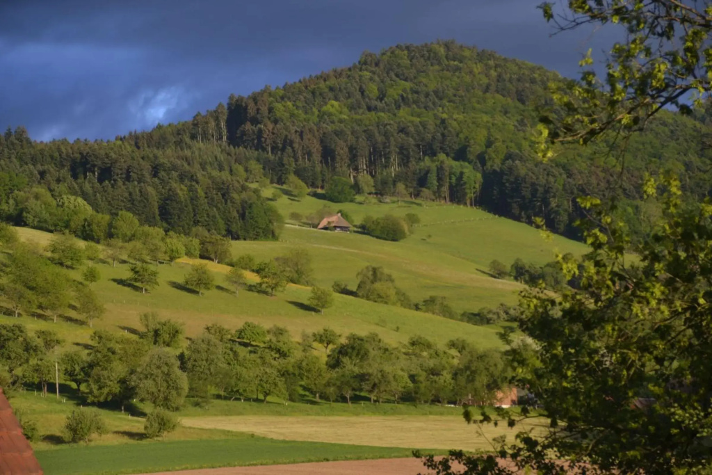 Haus Reichenbach
