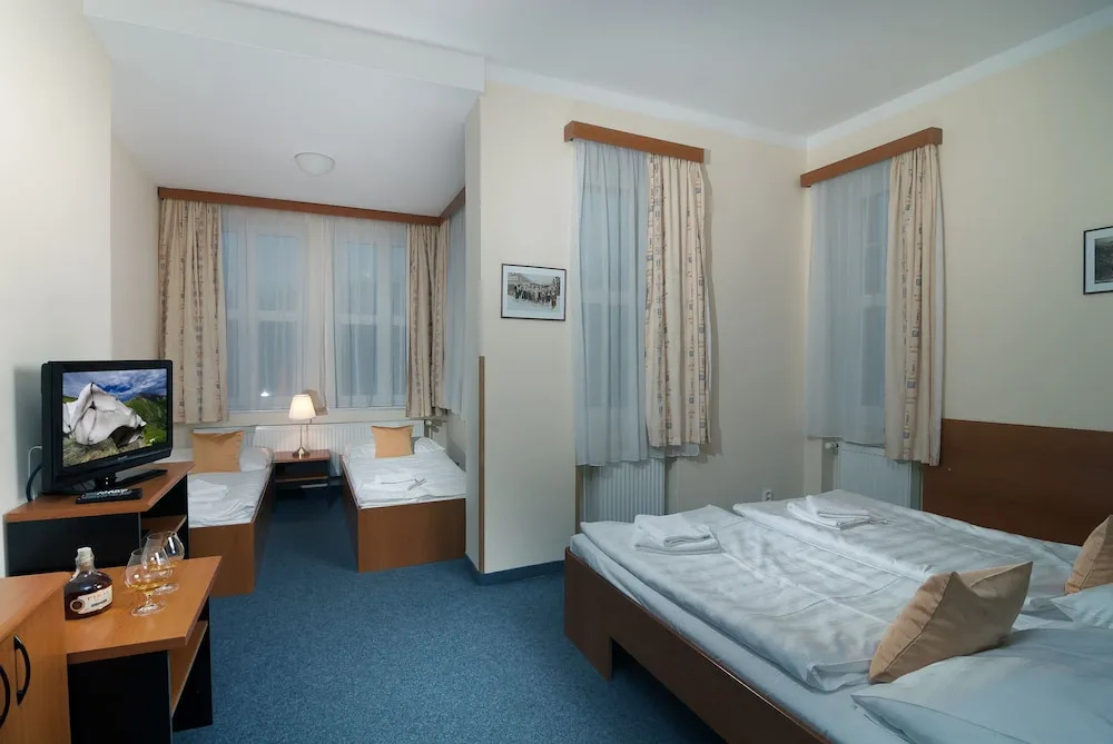 Hotel Domovina - Chambres