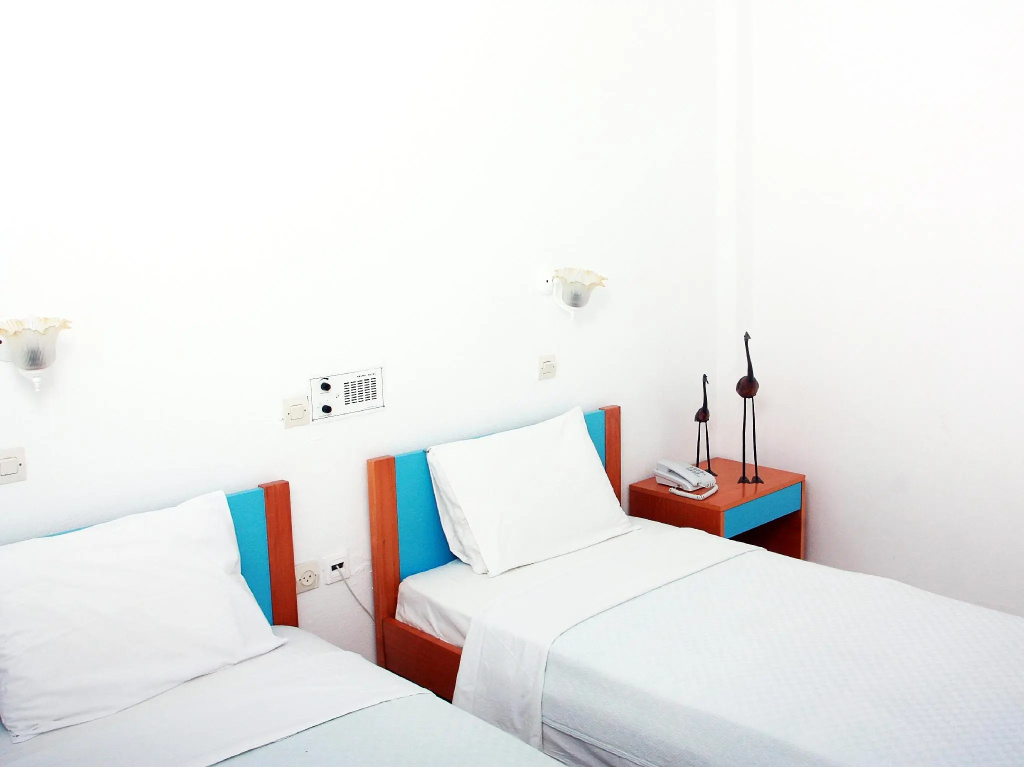 Standard Double room (full double bed)