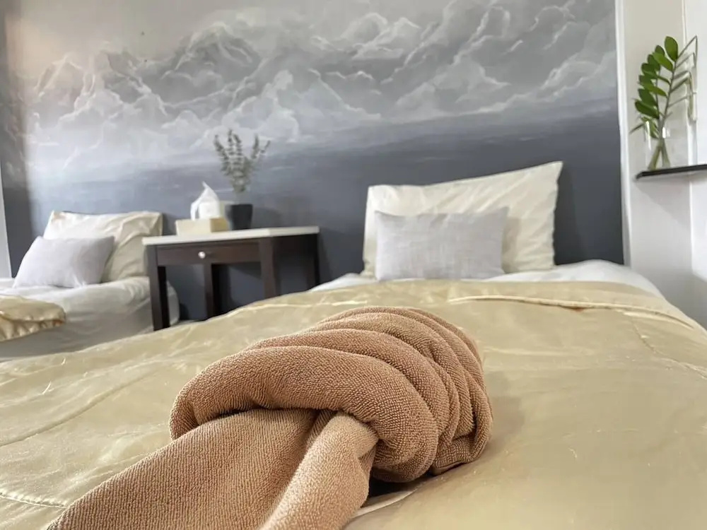 Standard Double room (twin beds)
