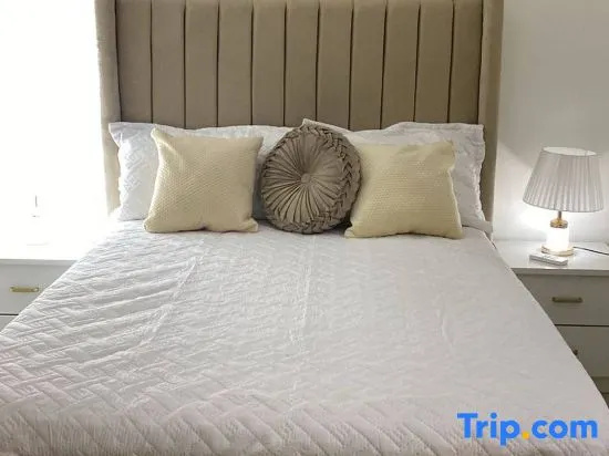 Spacious Condo with Pool, Gym, and Central AC in Santiago