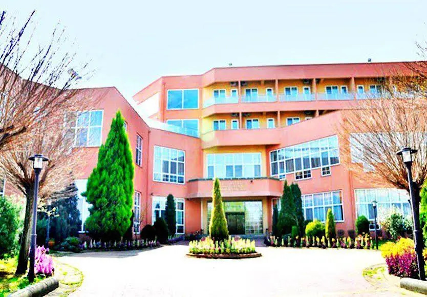 Image 7