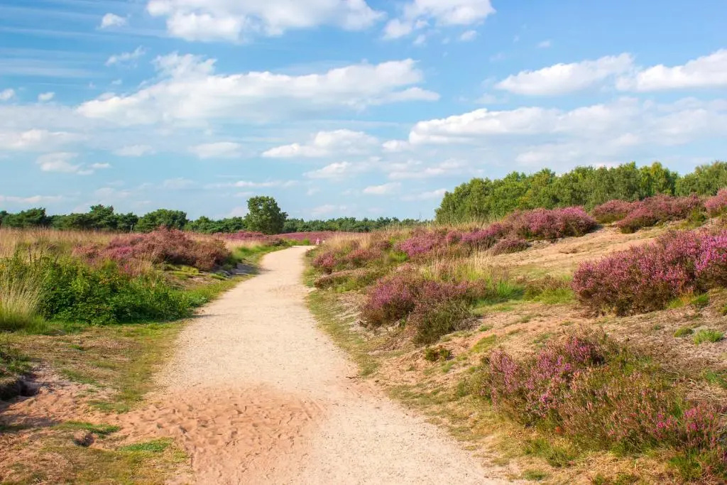 Fletcher Wellness-Hotel Brabant-Mill - Chambres