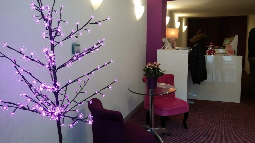 Hotel Du Grand Cerf
