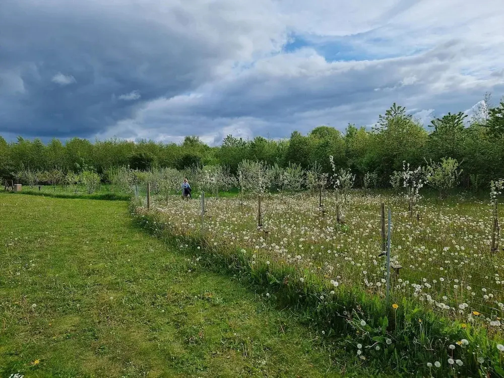 6 Person Holiday Home in Aabenraa
