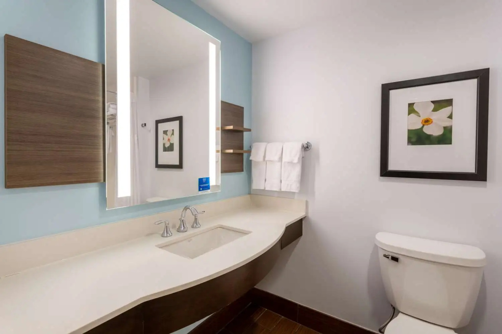 Hilton Garden Inn Roanoke - Chambres