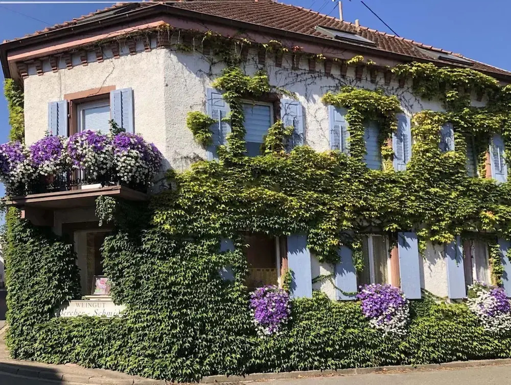 Holiday Apartment Monet in Oberrotweil