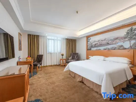 Vienna Hotel Guangzhou Chimelong Dashi Metro Station - Chambres